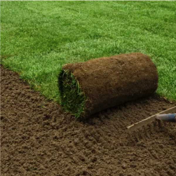 Sod Installation
