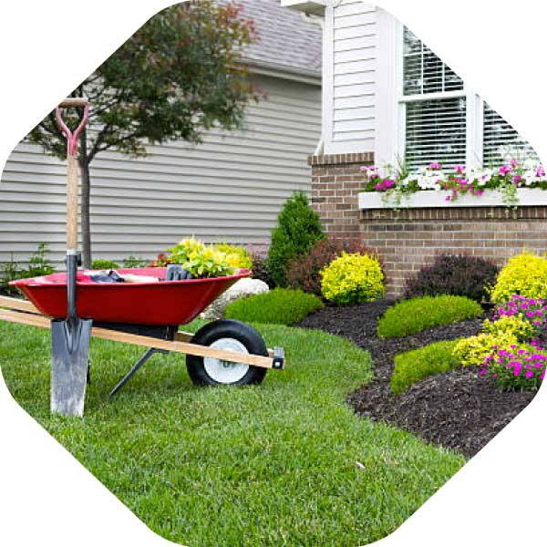 Flowerbed Clean-Up